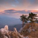 Nature reserves in Ukraine