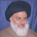 Mohammad Ali Tabatabaei Hassani