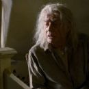 Harry Potter and the Deathly Hallows: Part 2 - John Hurt - 454 x 242