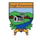 2008 in Gaelic games