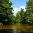 Watauga River