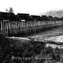 1941 disestablishments in Washington (state)