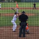 Tampa Spartans softball