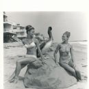 How to Stuff a Wild Bikini - 454 x 570