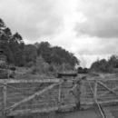 1959 in Scotland