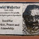 David Webster (anthropologist)