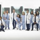 Grey's Anatomy Season 6 Cast - 454 x 312