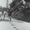 Rediscovered Australian films