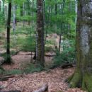 Natural heritage sites in Ukraine