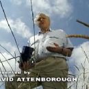 BBC Wildlife Specials