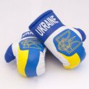 Olympic boxers for Ukraine
