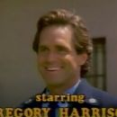 The Family Man - Gregory Harrison - 454 x 329