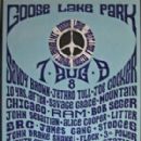 Music festivals in Michigan