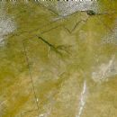Natural history of Botswana