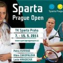 2011 in Czech tennis