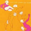 Clap Your Hands Say Yeah