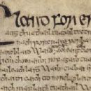 9th-century Irish monarchs