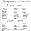 Spanish missionary linguists