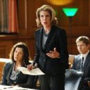 The Good Wife (2009) - 454 x 302