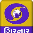 Gujarati-language television