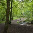 Forests and woodlands of Greater Manchester