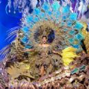Corina Mrazek- Reina del Carnaval de Santa Cruz de Tenerife 2024- Selection Night - 454 x 331