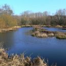 Billy Frank Jr. Nisqually National Wildlife Refuge