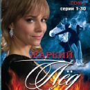 2009 Russian television series endings