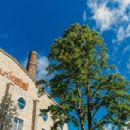 Music venues in Estonia