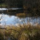 Wetlands of Denmark