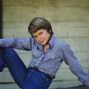 Seven Brides for Seven Brothers - River Phoenix - 454 x 451