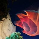 Outdoor sculptures in Denver