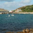 New Grimsby