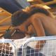 Beyonce and Jay-Z - 1st public kiss