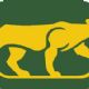 Chicago Cougars