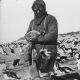 James Murray (biologist)