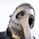 Chris Fehn