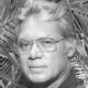 Herman Wedemeyer