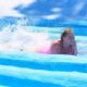 Iskra Lawrence in Pink Swimsuit at Mountain Creek Waterpark in New York