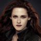 The Twilight Saga: Breaking Dawn - Part 2