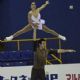 Simon Shnapir