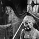 Beverley Owen