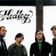Hedley