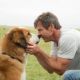 A Dog's Purpose (2017)