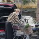 Charlize Theron – Shopping ahead of Christmas at Gelson’s Market in Studio City