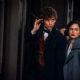 Fantastic Beasts and Where to Find Them (2016)
