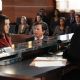 The Good Wife (2009)