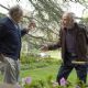 Ray Donovan (2013)