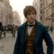 Fantastic Beasts and Where to Find Them (2016)