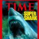 Jaws 1975 Motion Picture Thriller Starring Robert Shaw